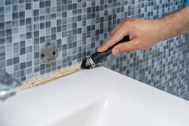 Best Emergency Mold Removal  in Central Islip, NY