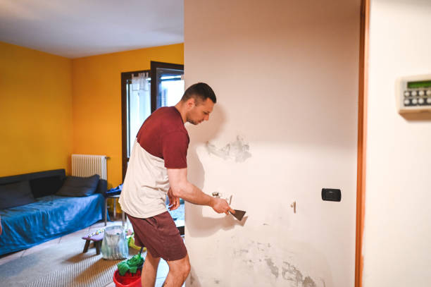 Best Residential Mold Removal  in Central Islip, NY