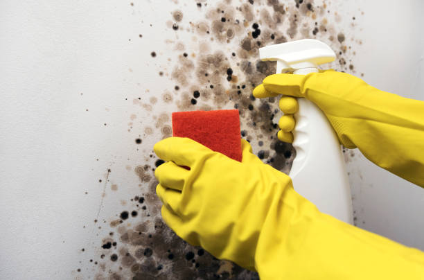 Water Damage Restoration in Central Islip, NY